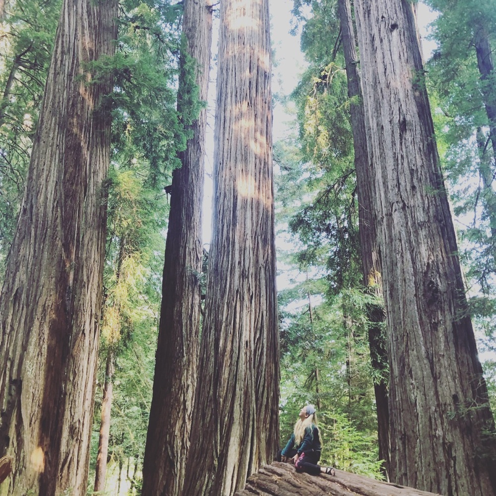 Meet your Posher, Jaclyn